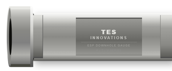 Downhole Gauges