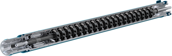 ESP Downhole System